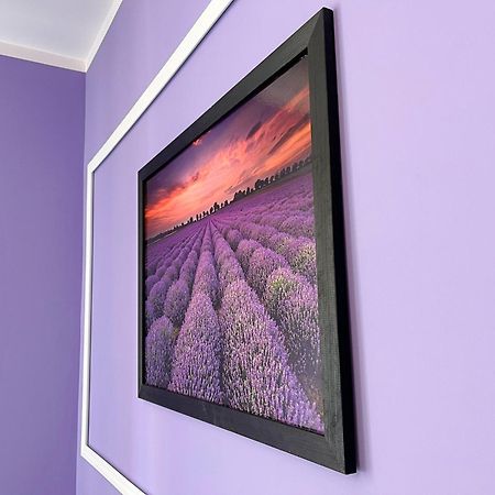 Apartament Lawendowy Wałbrzych Exteriör bild