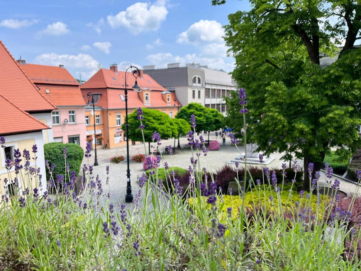 Apartament Lawendowy Wałbrzych Exteriör bild