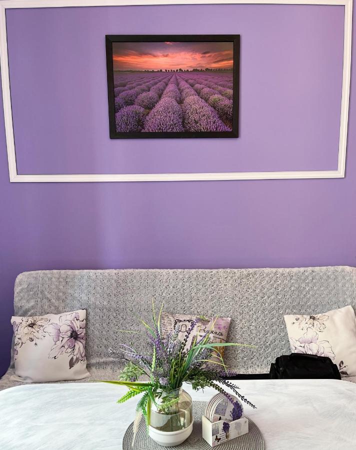 Apartament Lawendowy Wałbrzych Exteriör bild