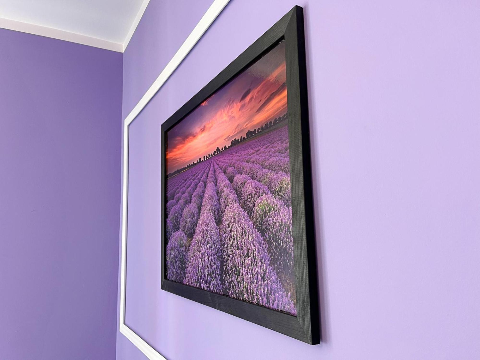 Apartament Lawendowy Wałbrzych Exteriör bild